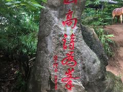 -洛阳白云山景区