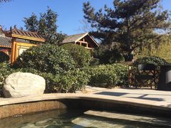 -郑州银基黄帝宫御温泉