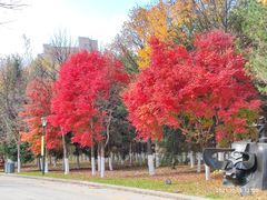 -长春世界雕塑园冰雪艺术天地