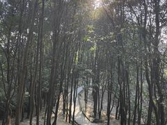 -火炉山森林公园