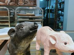 -WHEN PIGS FLY当猪飞