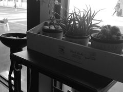 -RUMORS COFFEE ROASTERY鲁马滋咖啡(湖南路店)
