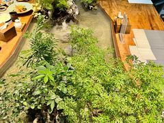 -森味薪火烧•烧鸟居酒屋•日本料理(望京店)