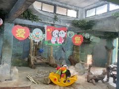 -海南热带野生动植物园