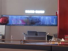 -老板恋上鱼(恒隆广场店)