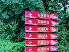 -广州长隆飞鸟乐园