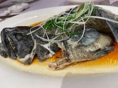 清蒸龙胆鱼-紫阳海鲜楼·传承闽味(长乐路总店)