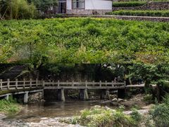-雁荡山大龙湫景区