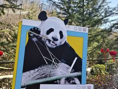 -栾川竹海野生动物园