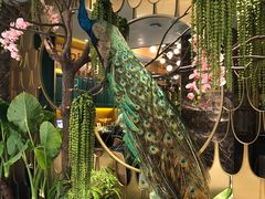 -雀蓝川菜(奥体广场店)