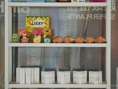 -首创奥特莱斯(西安店)