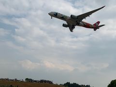 -空港花田景区