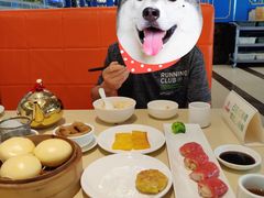 -满福隆酒楼(万绿园店)