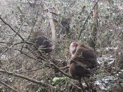 -太阳湾风景区