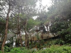 -芦仙山景区-飞越丛林探险乐园