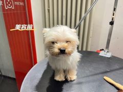 -宠物家(双井店)