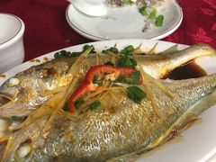 -蛇口康乐快餐鱼仔档(翠苑小区店)