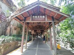 -海南槟榔谷黎苗文化旅游区