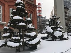 -北海道厅旧本厅舍(旧本庁舎)