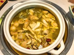-菌彩云南野生菌火锅(呈贡七彩云南第壹城店)
