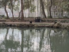 -兰亭风景区