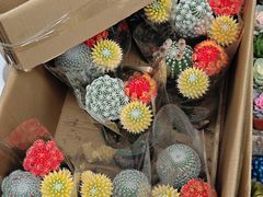 -循礼门鲜花花市(武汉循礼门店)