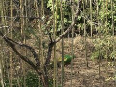 -苏州环秀晓筑养生度假村