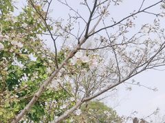 -良渚古城遗址公园