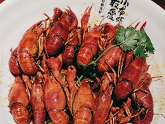 -龙巢盱眙龙虾·牛蛙·烧烤宵夜(八卦岭店)