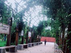-贵阳市花溪国家城市湿地公园