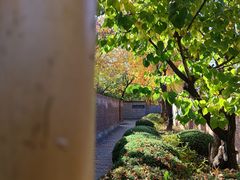 -熙古里艺术村