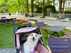 -J Create城市露营咖啡·简餐·宠物(上海动物园店)