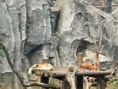 -武汉动物园