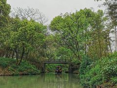 -西溪国家湿地公园