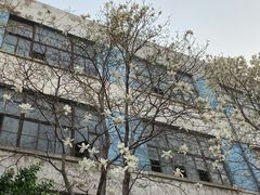 -济南轻骑摩托车有限公司(和平路)