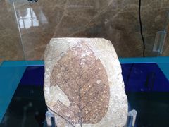 -湖南省地质博物馆