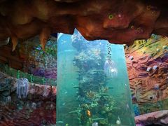 -青岛嘉年华主题乐园