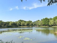 -良渚文化村