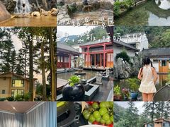 -玉石林风景区