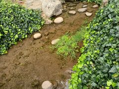 -黑龙潭公园