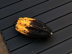 -SANYAY叁言咖啡巧克力