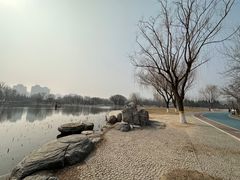 -太阳宫公园