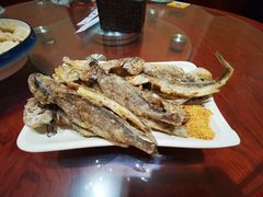 -老蜀人川菜馆(中关村店)