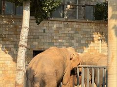 -石家庄市动物园