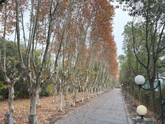 -华东政法大学(松江校区)