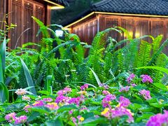 -大妙火锅·非物质文化遗产(东湖公园店)