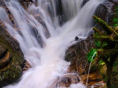 -莫里热带雨林景区