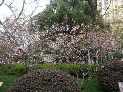 -徐家汇源景区-衡山公园