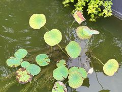 -成飞公园