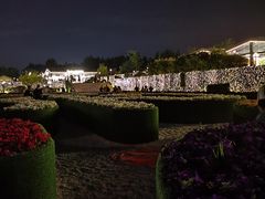 -莫子山公园